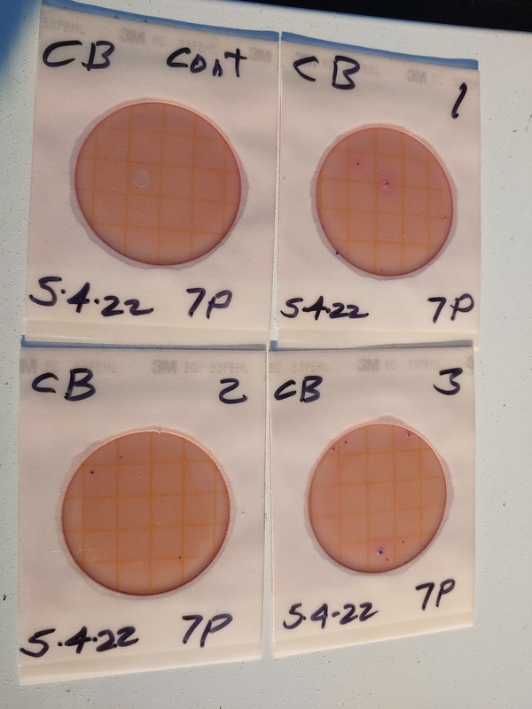 Plates, Cleary Bluff 2022-05-04