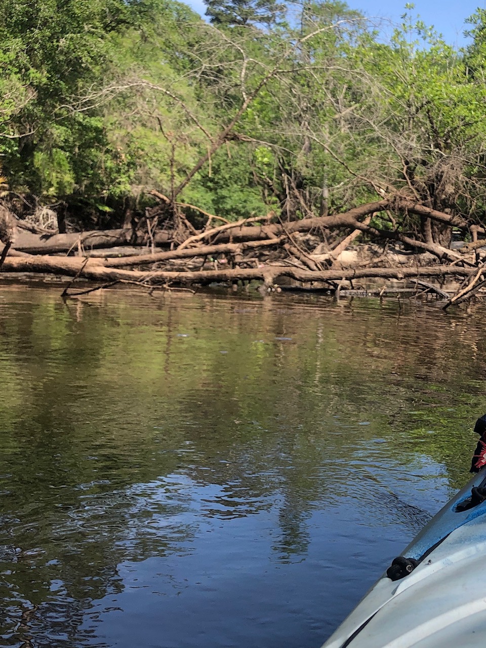 Log jam, Withlacoochee River