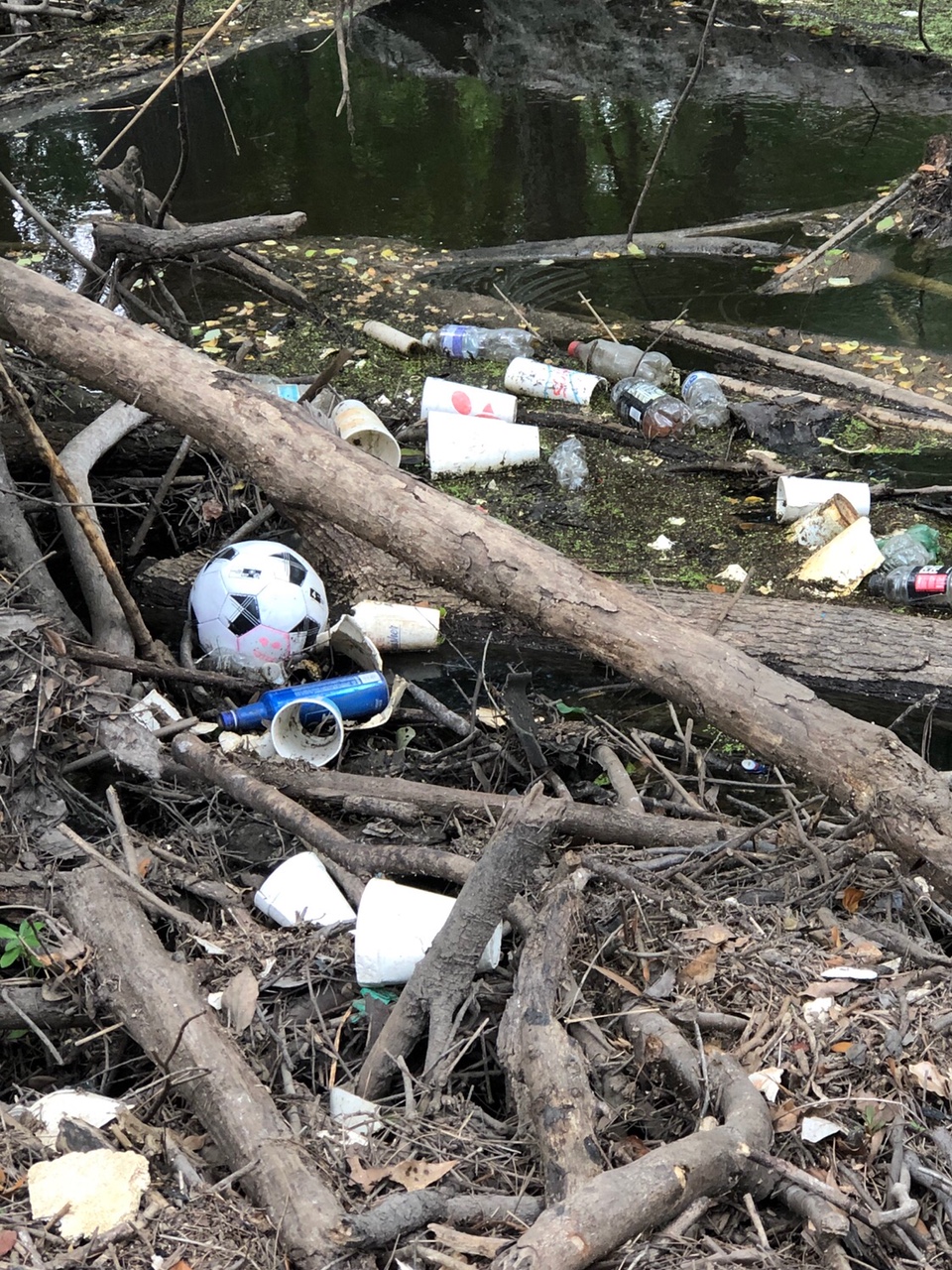 Trash on Sugar Creek