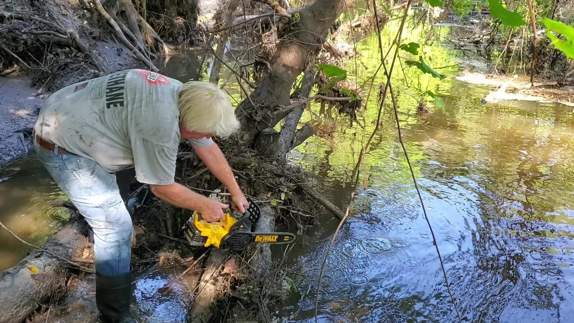 Movie: Phil Hubbard and his electric chainsaw, 30.8633684, -83.3192774 (68M)