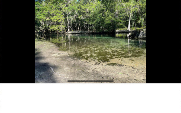 [Hodor Park, Ichetucknee River @ SW Riverside Ave. 2022-05-12]