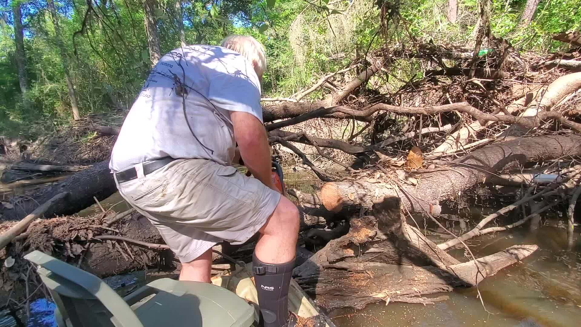 Movie: Phil saws some higher limbs (83M)