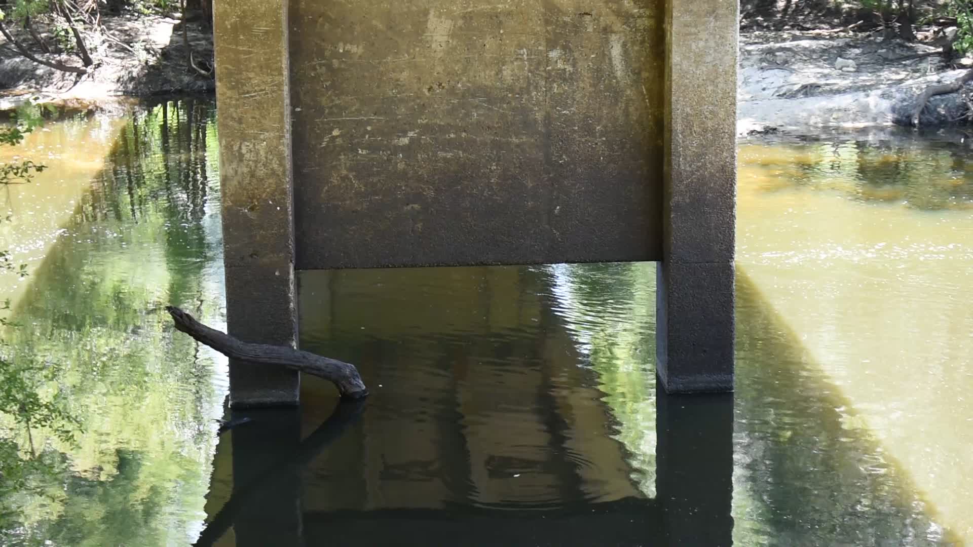 Movie: Nankin Boat Ramp Water Level, Withlacoochee River @ Clyattville-Nankin Road 2022-06-02