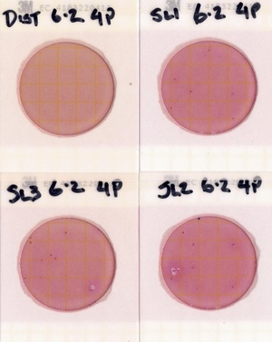 [Plates, State Line Boat Ramp 2022-06-02]