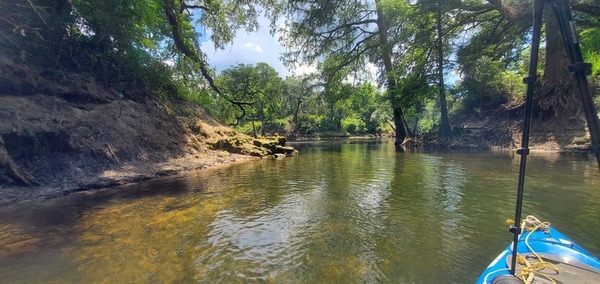 At Tanner Spring, 14:39:11, 30.4643763, -83.2180682