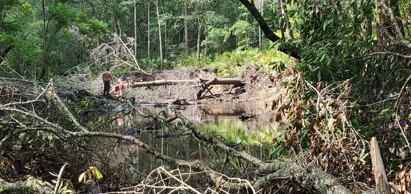 Bobby and Phil at a logjam, 11:03:10, 30.8632791, -83.3230853