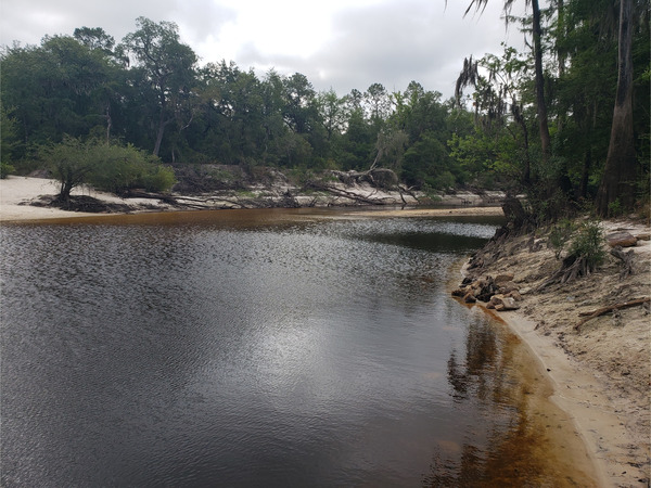 Lakeland Boat Ramp, Alapaha River @ GA 122 2022-06-09