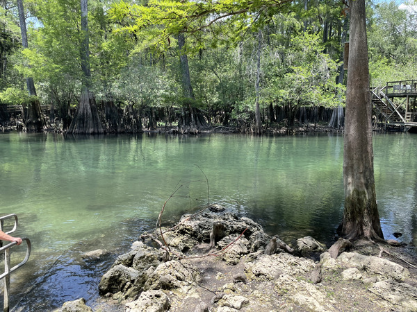 Point Park, Ichetucknee River @ SW Riverside Ave. 2022-06-09