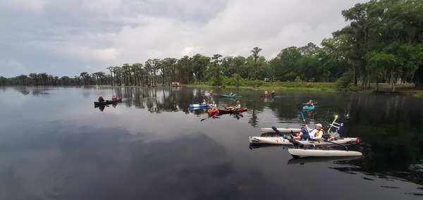 Variety of boats