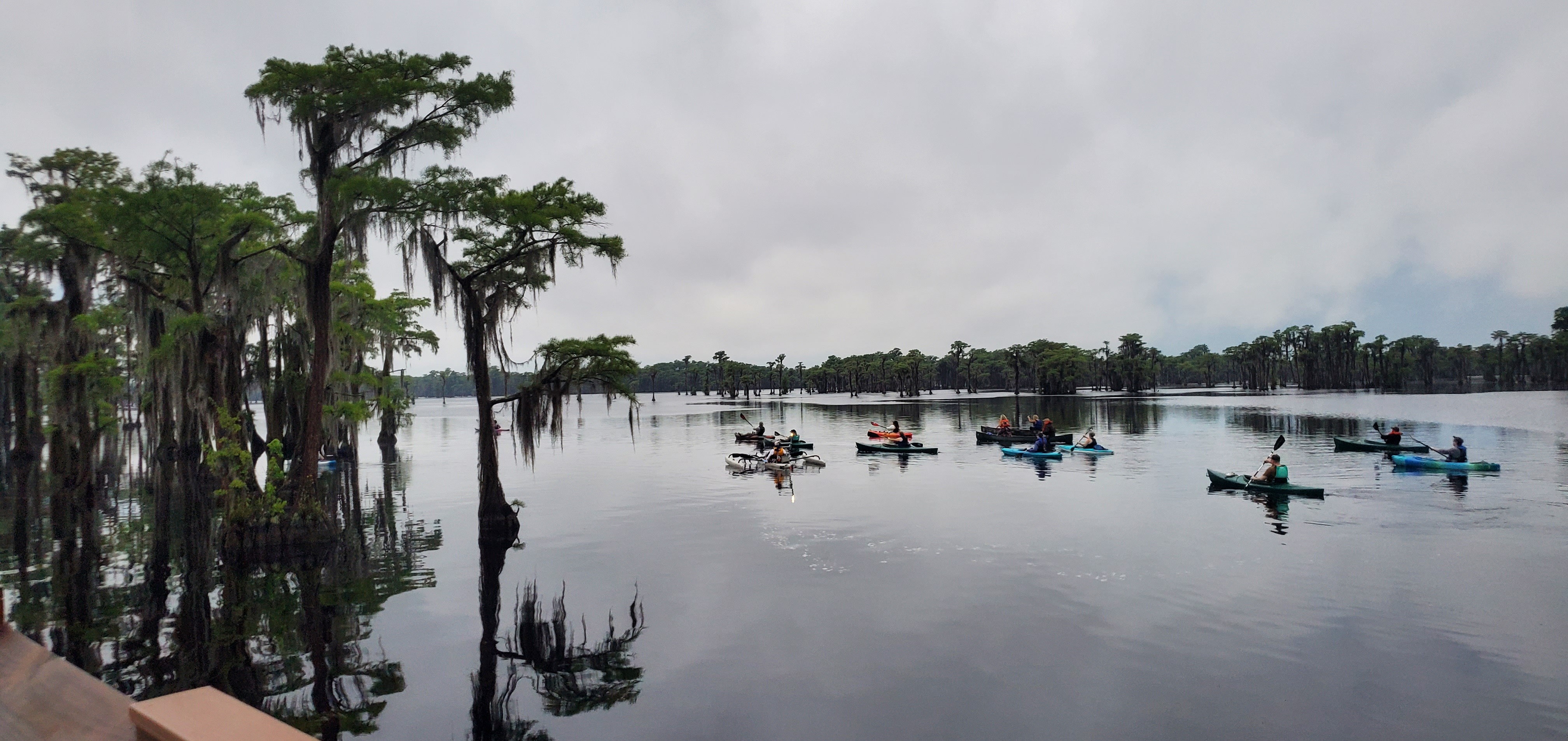 Flotilla into the cypress trees