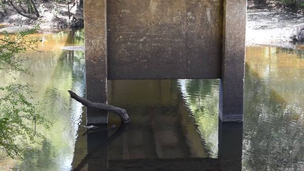 Movie: Nankin Boat Ramp Water Level, Withlacoochee River @ Clyattville-Nankin Road 2022-06-23