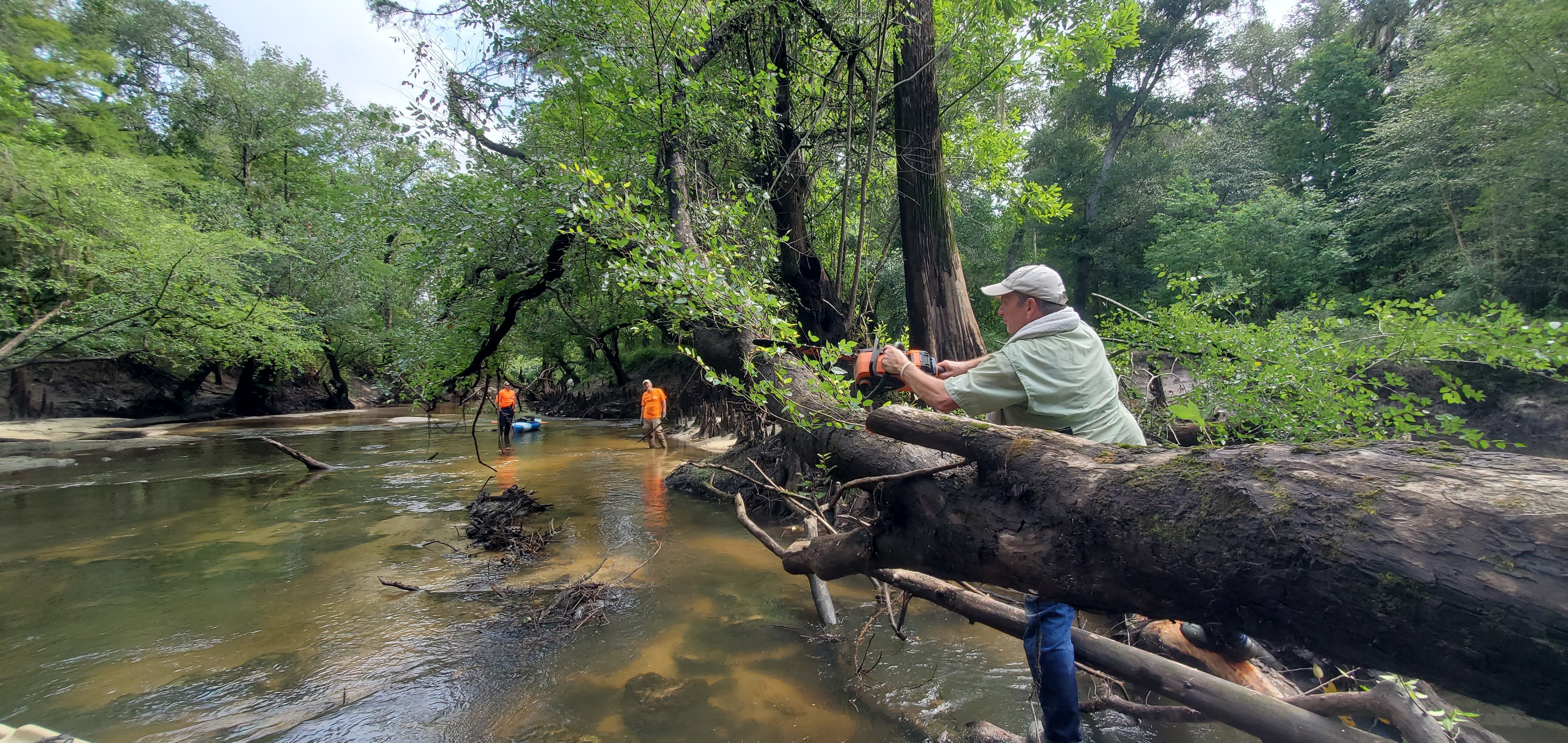 Phil Royce sawing first deadfall, 10:16:51, 30.8458848, -83.3474451