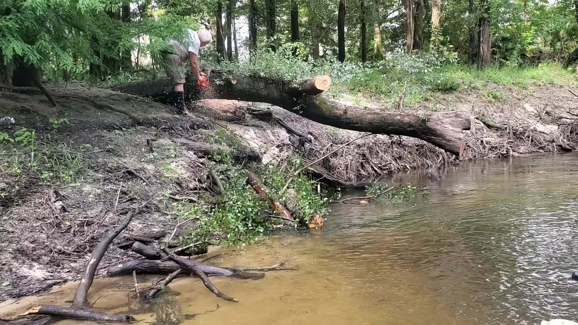 Movie: Phil Hubbard drops a log, gets saw stuck, 11:17:37, 30.8458615, -83.3474031 (32M)