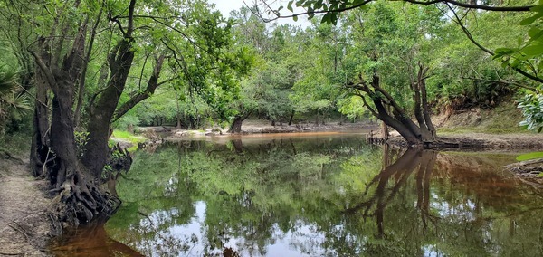 Just above the Little River Confluence, 09:33:24, 30.8474401, -83.3477052