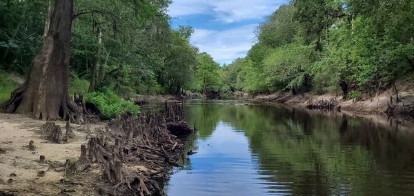 Little River downstream of Troup Bridge, 10:25:58, 30.8523168, -83.3466514