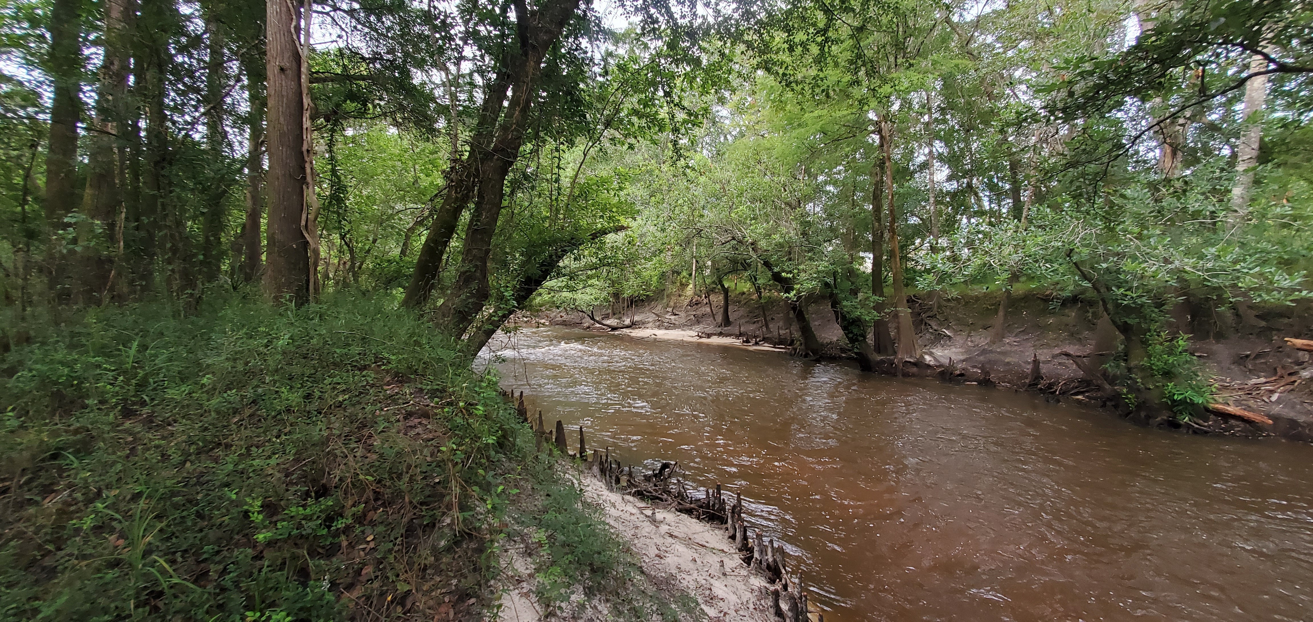 Why no farther upstream: sandbar rapids, 09:40:31, 30.8463003, -83.3475333