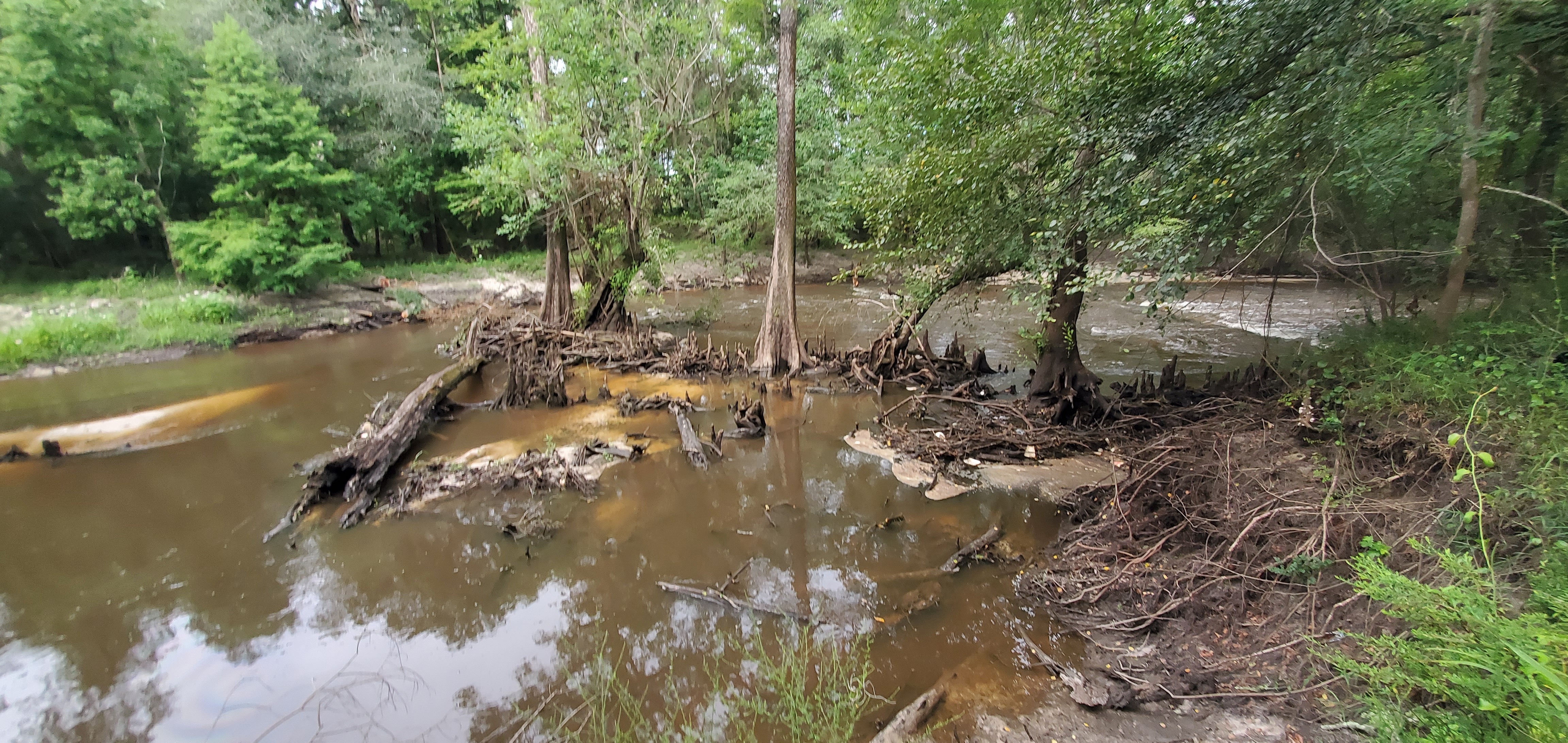 Trash in cypress knees, 09:42:59, 30.8459370, -83.3473878