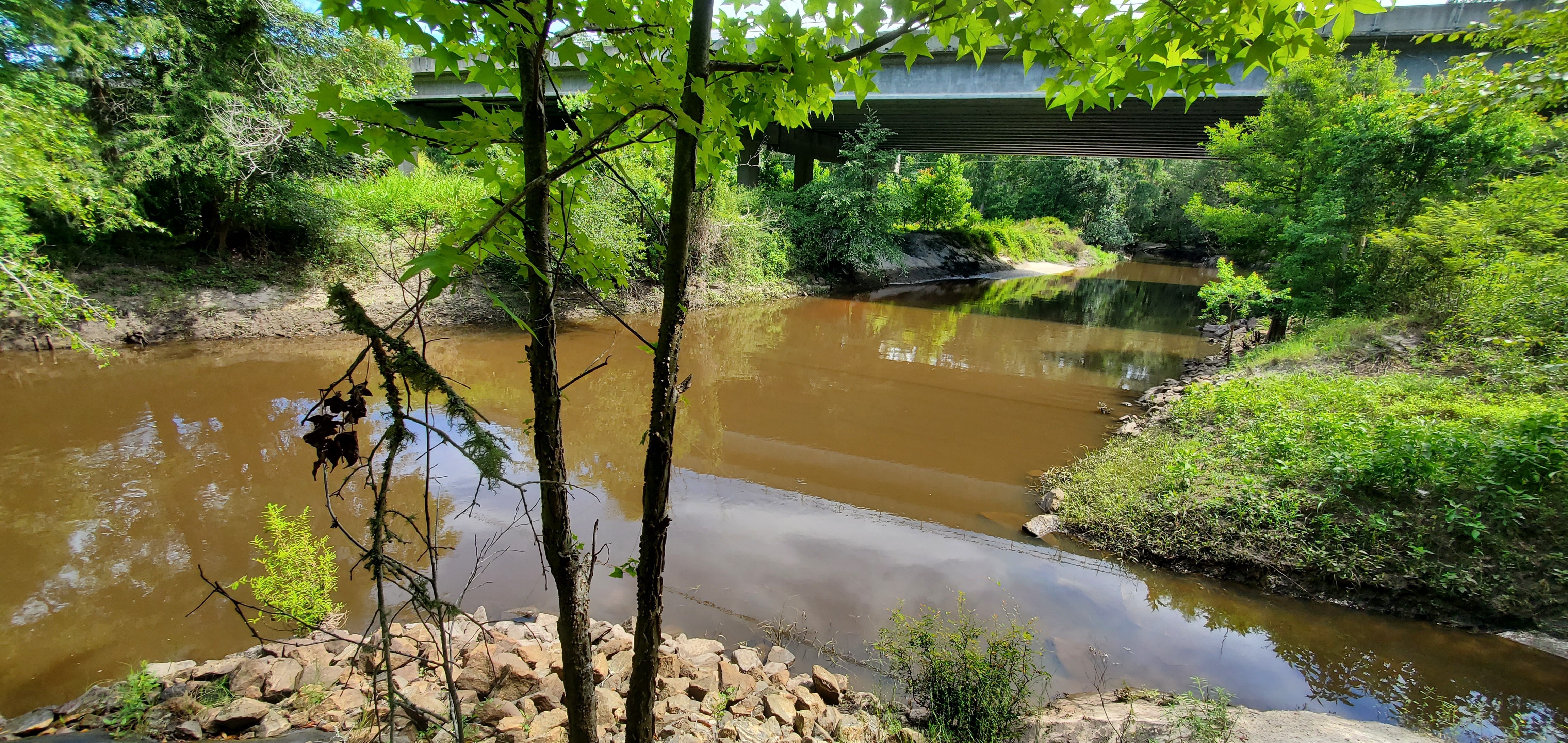 GA 133 Bridge, Withlacoochee River 2022-07-02