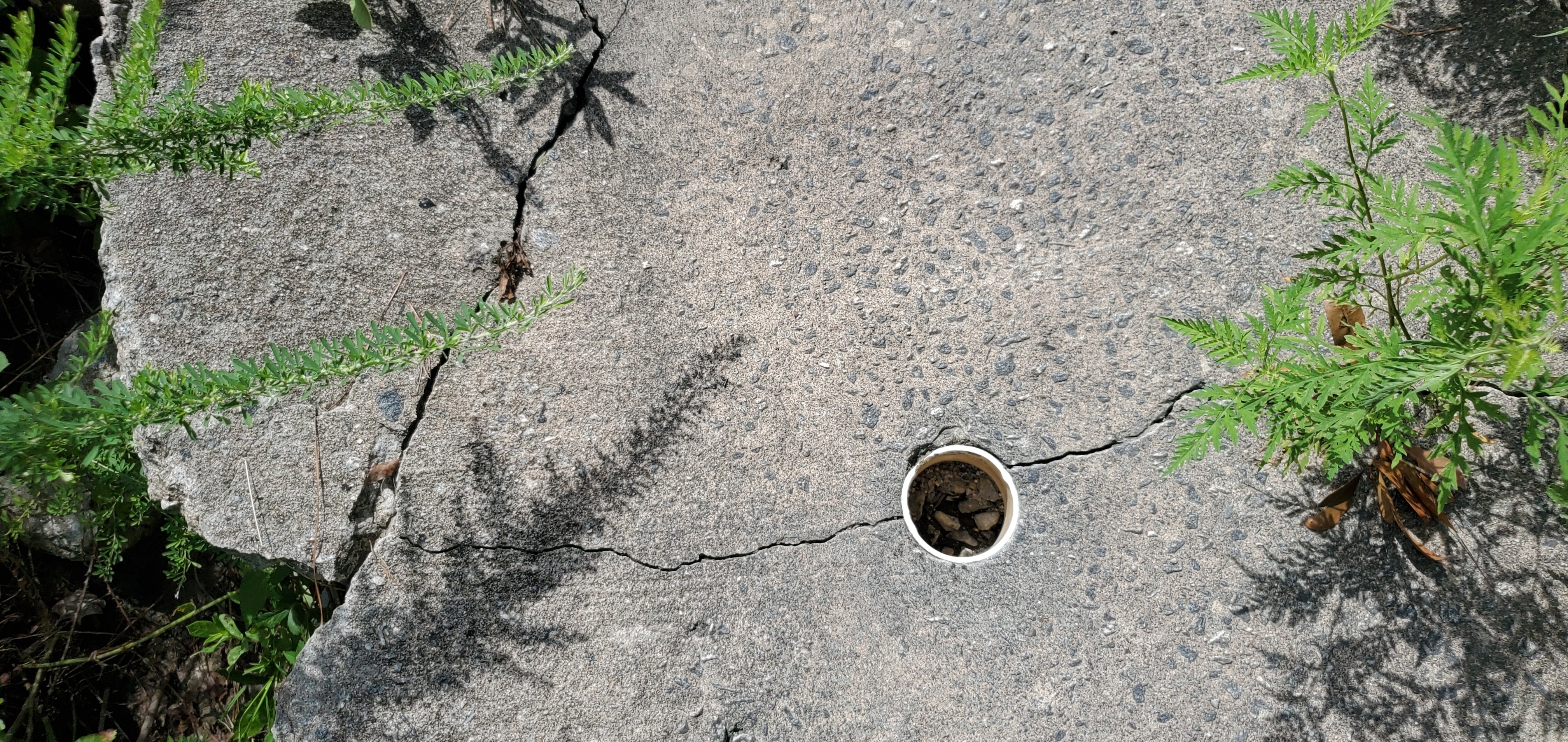 Deliberate holes in concrete 2022-07-02