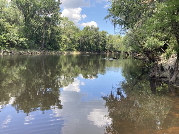 Upstream, Florida Campsites 2022-07-05