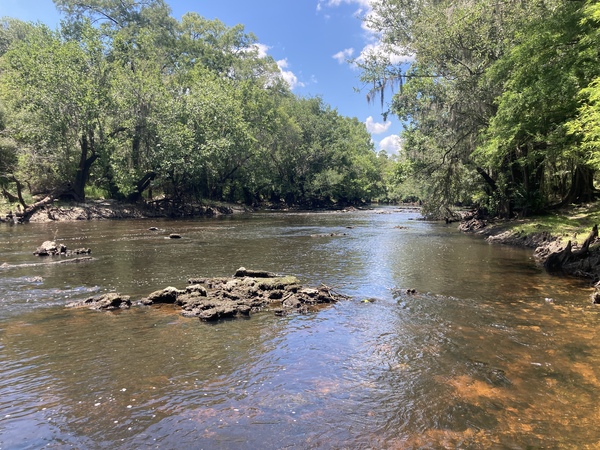 Upstream rapids, Nankin Boat Ramp, 2022-07-05