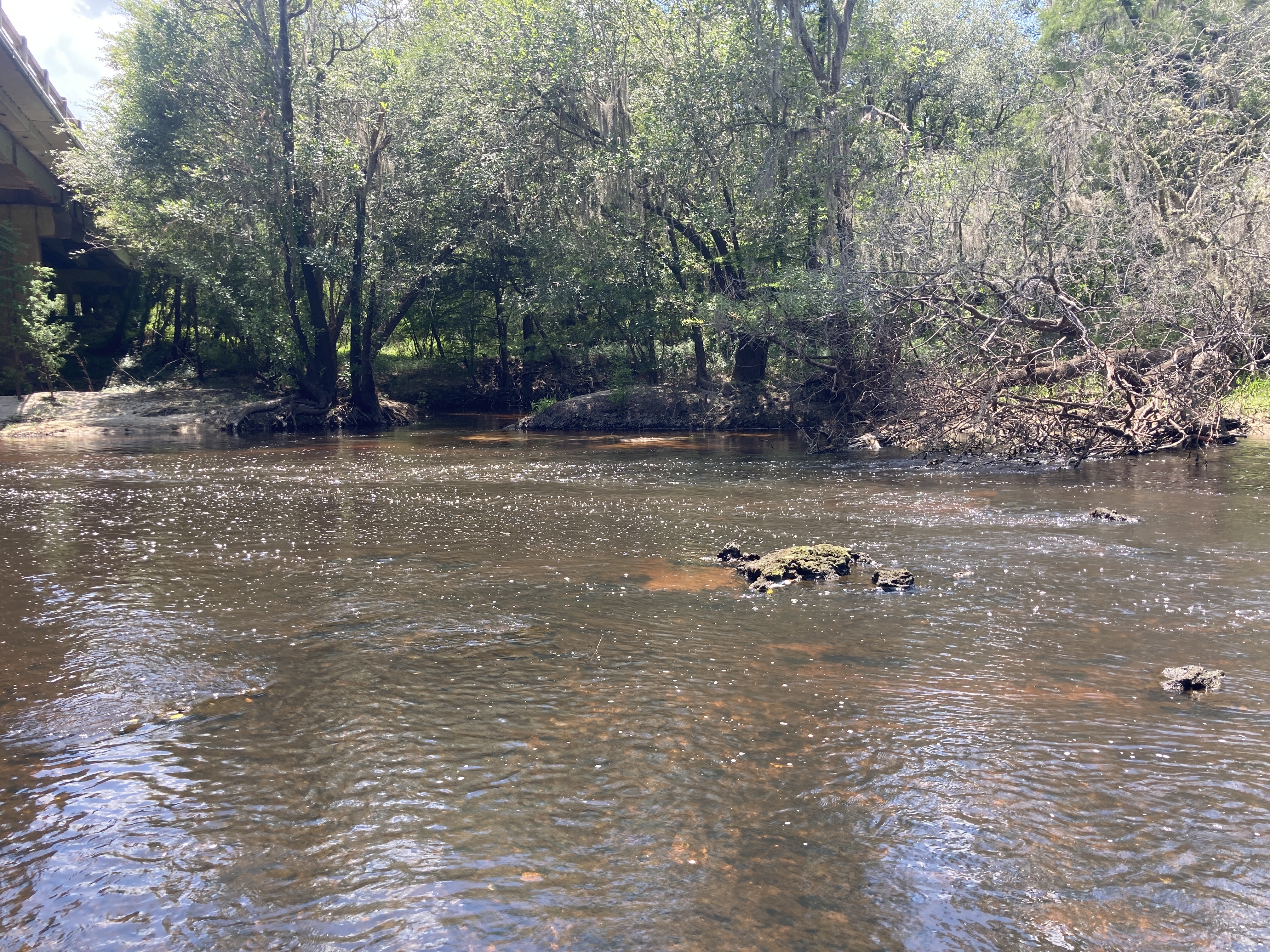 Across upstream rapids, Nankin Boat Ramp, 2022-07-05