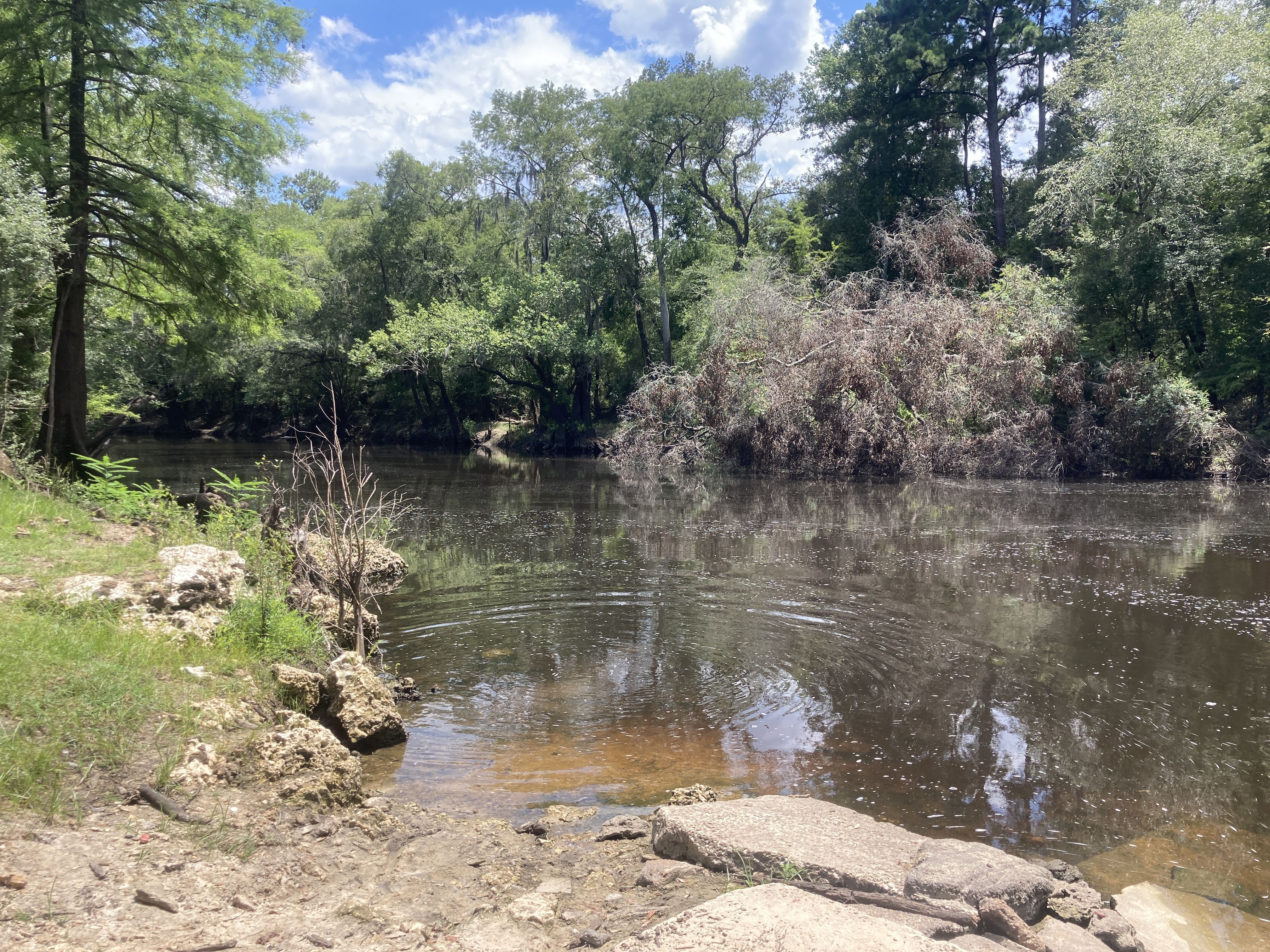 Downstream, Nankin Boat Ramp, 2022-07-05