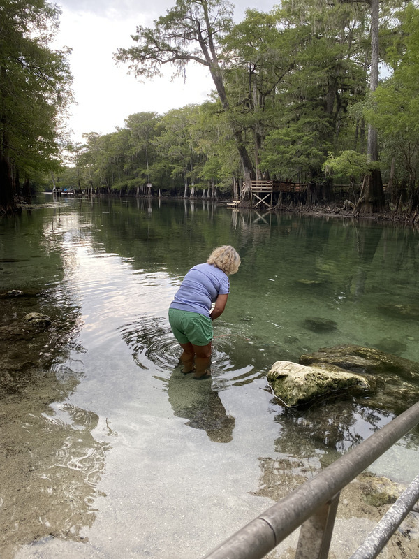 Point Park, Ichetucknee River @ SW Riverside Ave. 2022-07-07