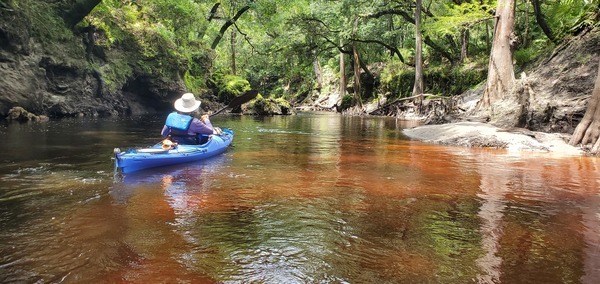 [Tea-colored water, 12:23:45, 30.6056636, -83.0741494]