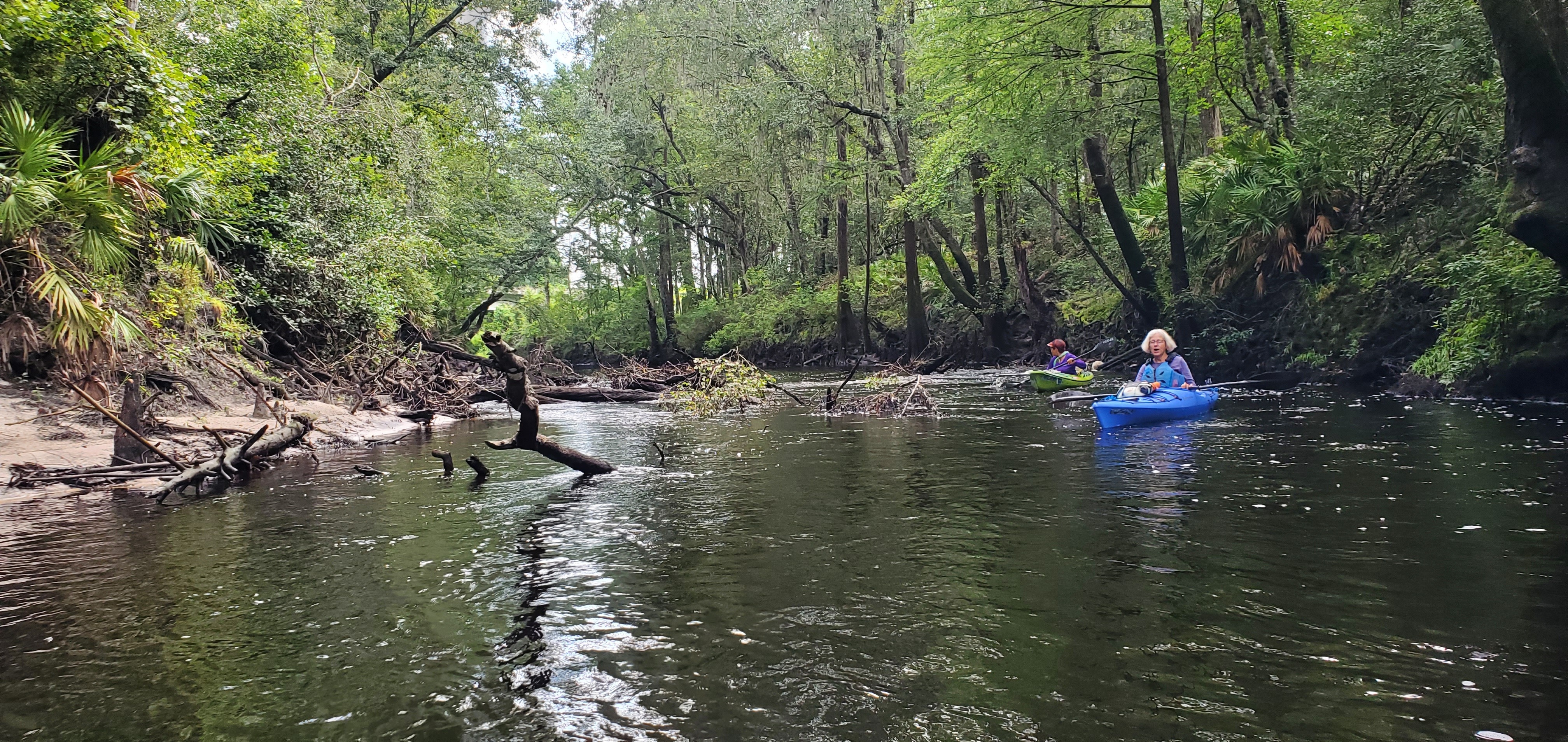 Some brush in the river, 10:05:18, 30.6275829, -83.0887756