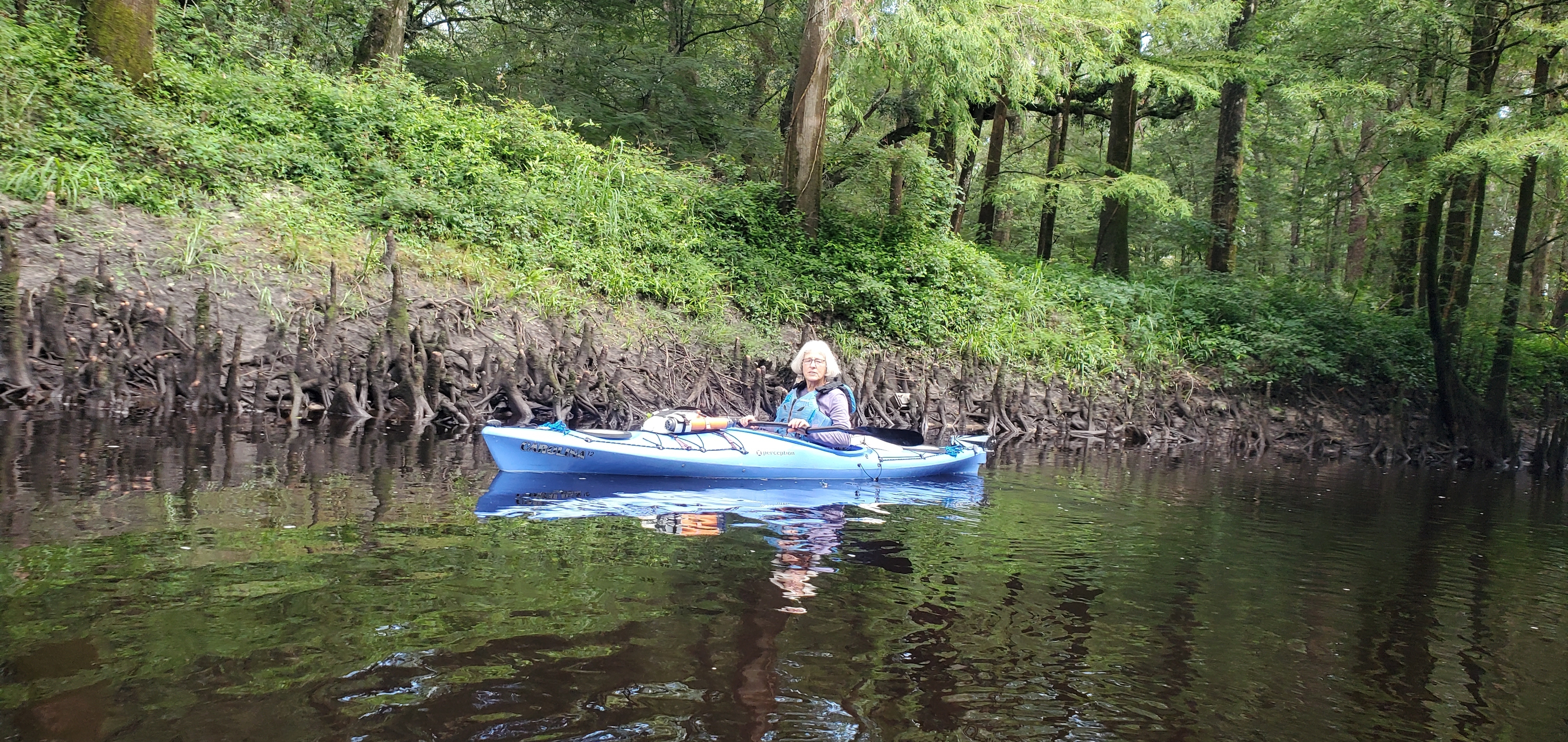 Shirley Kokidko with cypress knees, 10:09:31, 30.6259900, -83.0900870