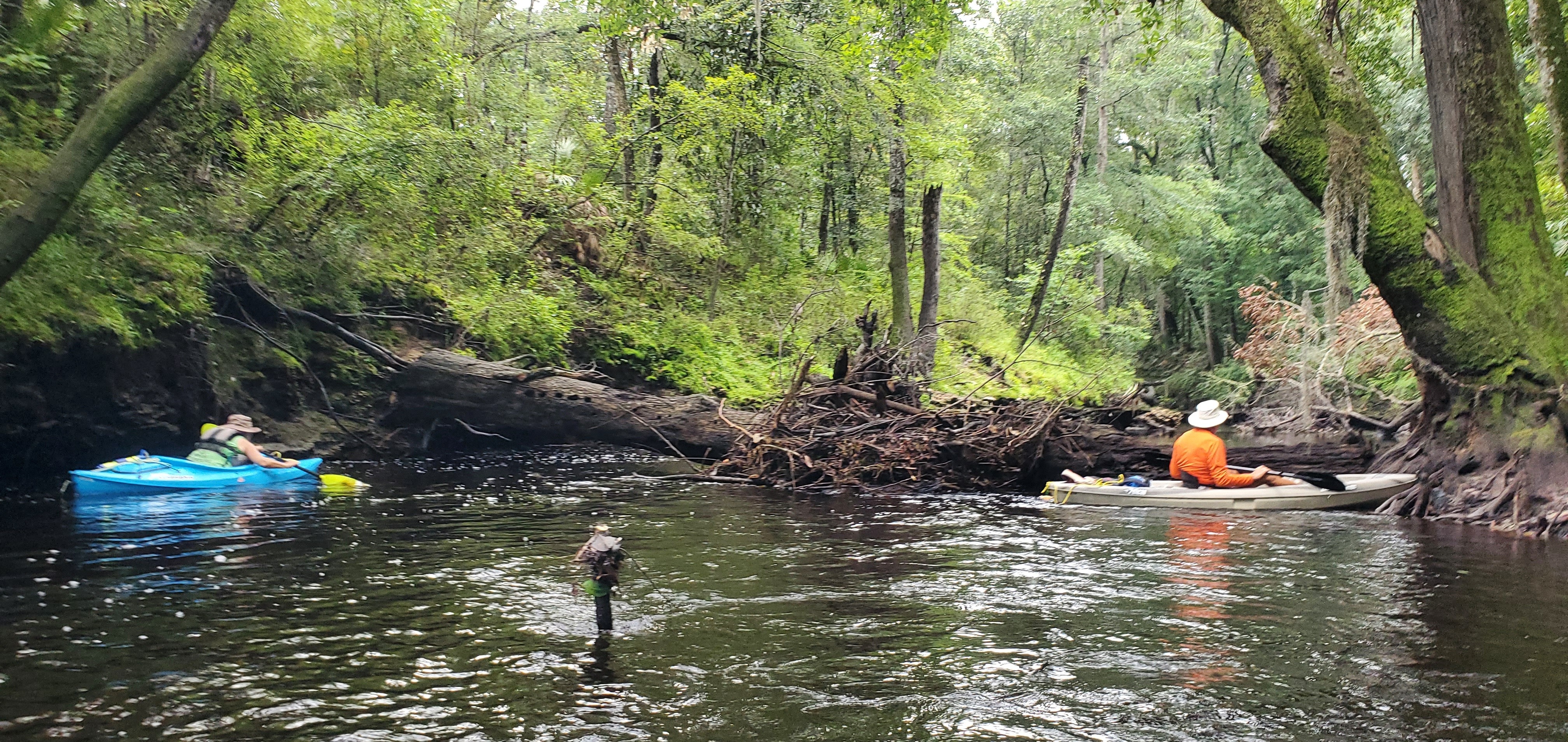 Under the last Georgia Deadfall, 10:27:17, 30.6229317, -83.0881696