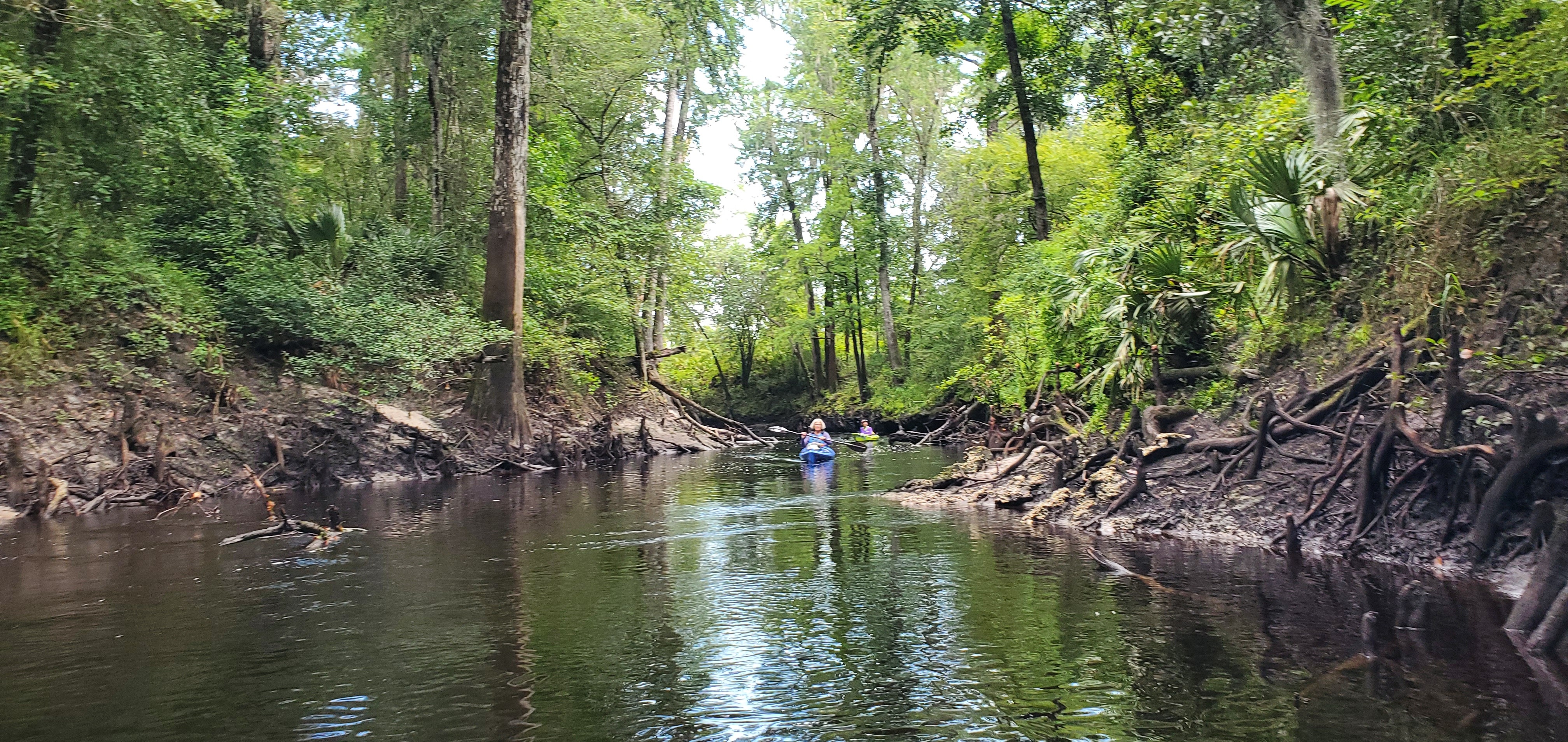 Shirley following, 10:48:00, 30.6203797, -83.0833568