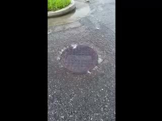 Movie: First seen, Manhole 1 next to Baytree Trash Trap