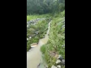 Sheri Run downstream towards Lake Sheri