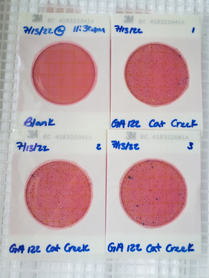 [Plates, Cat Creek @ GA 122 2022-07-13]