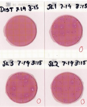 [Plates, State Line Boat Ramp 2022-07-14]