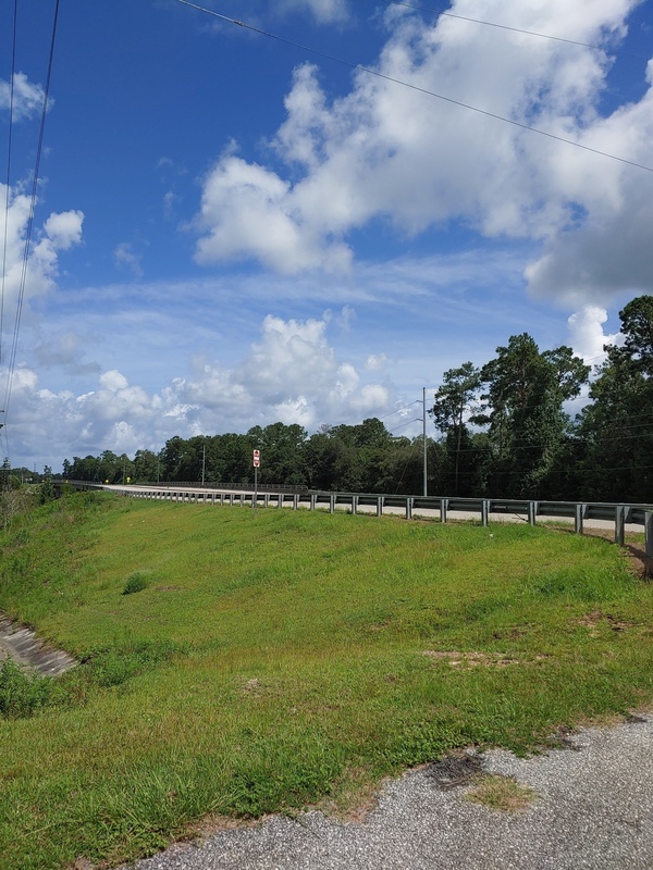 [GA 133 Landing, Withlacoochee River @ GA 133 2022-07-21]