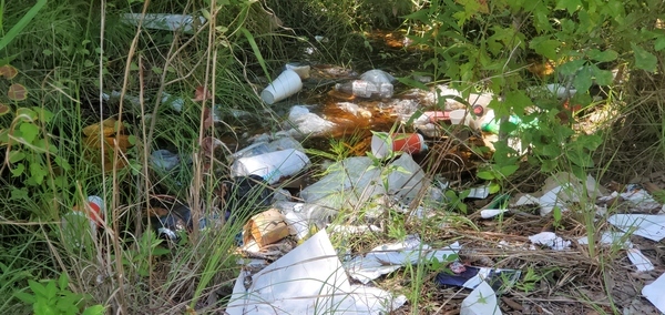 Trash, Withlacoochee River @ US 41, Zacadoos, McDonalds 2022-07-21