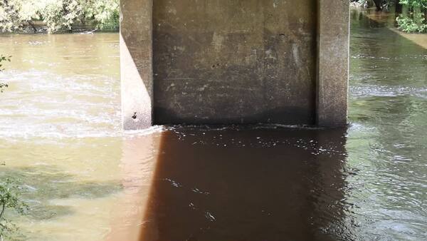 Movie: Nankin Boat Ramp Water Level, Withlacoochee River @ Clyattville-Nankin Road 2022-07-21