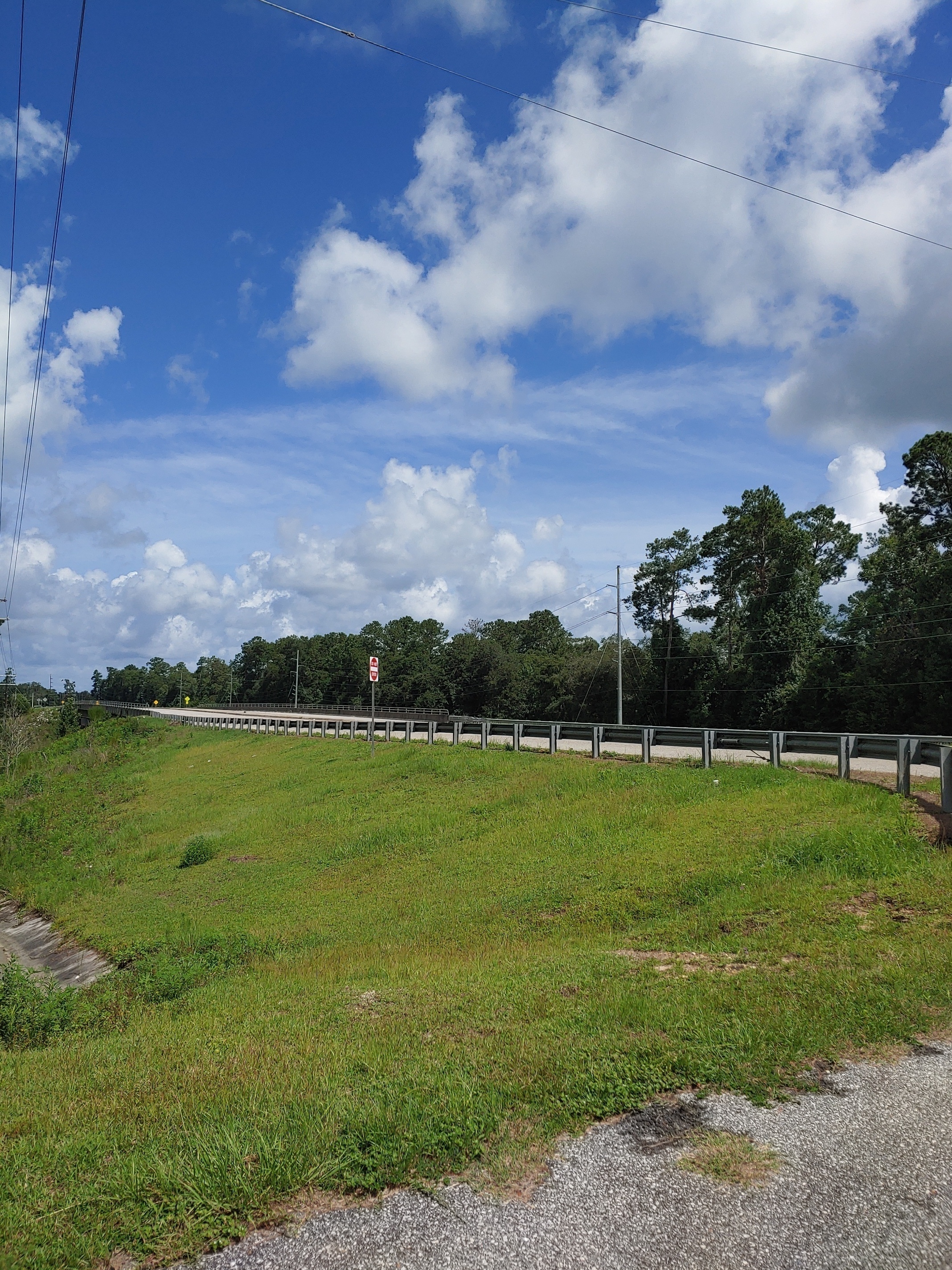 GA 133 Landing, Withlacoochee River @ GA 133 2022-07-21