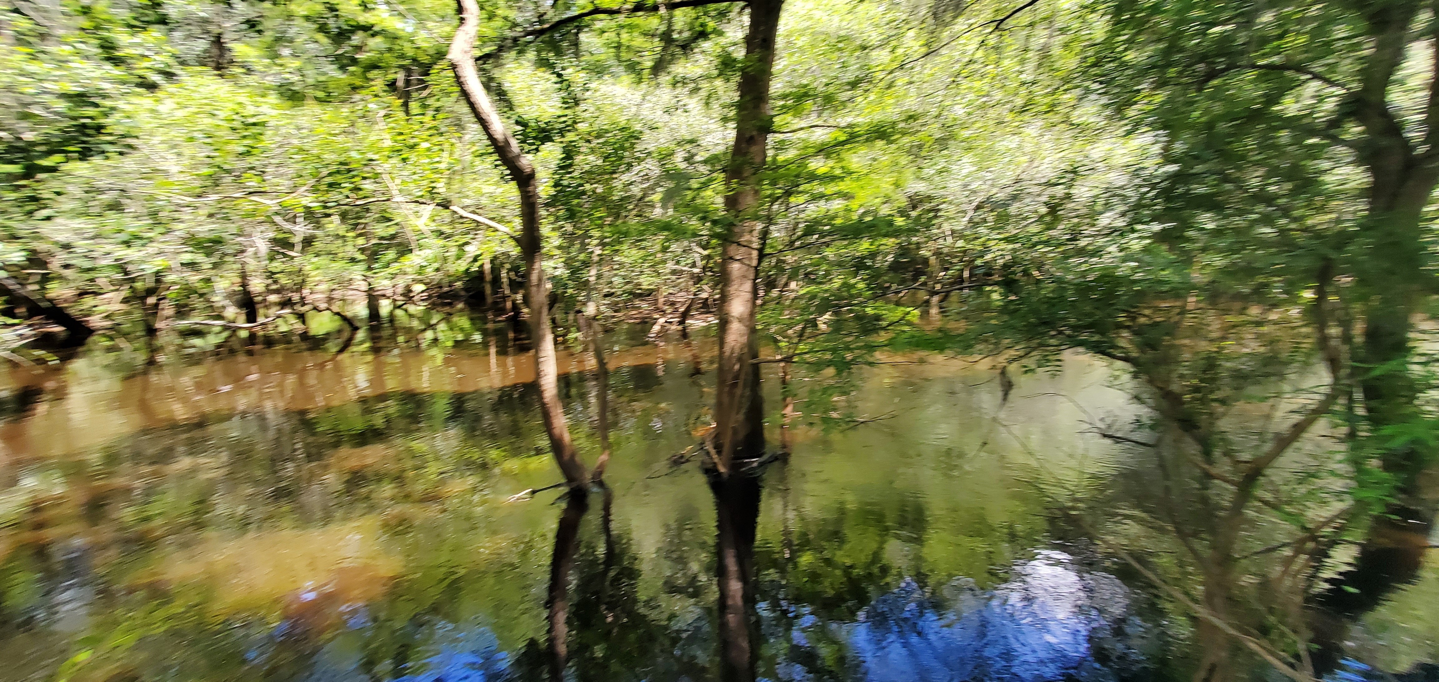 Withlacoochee River @ US 41, Across 2022-07-21