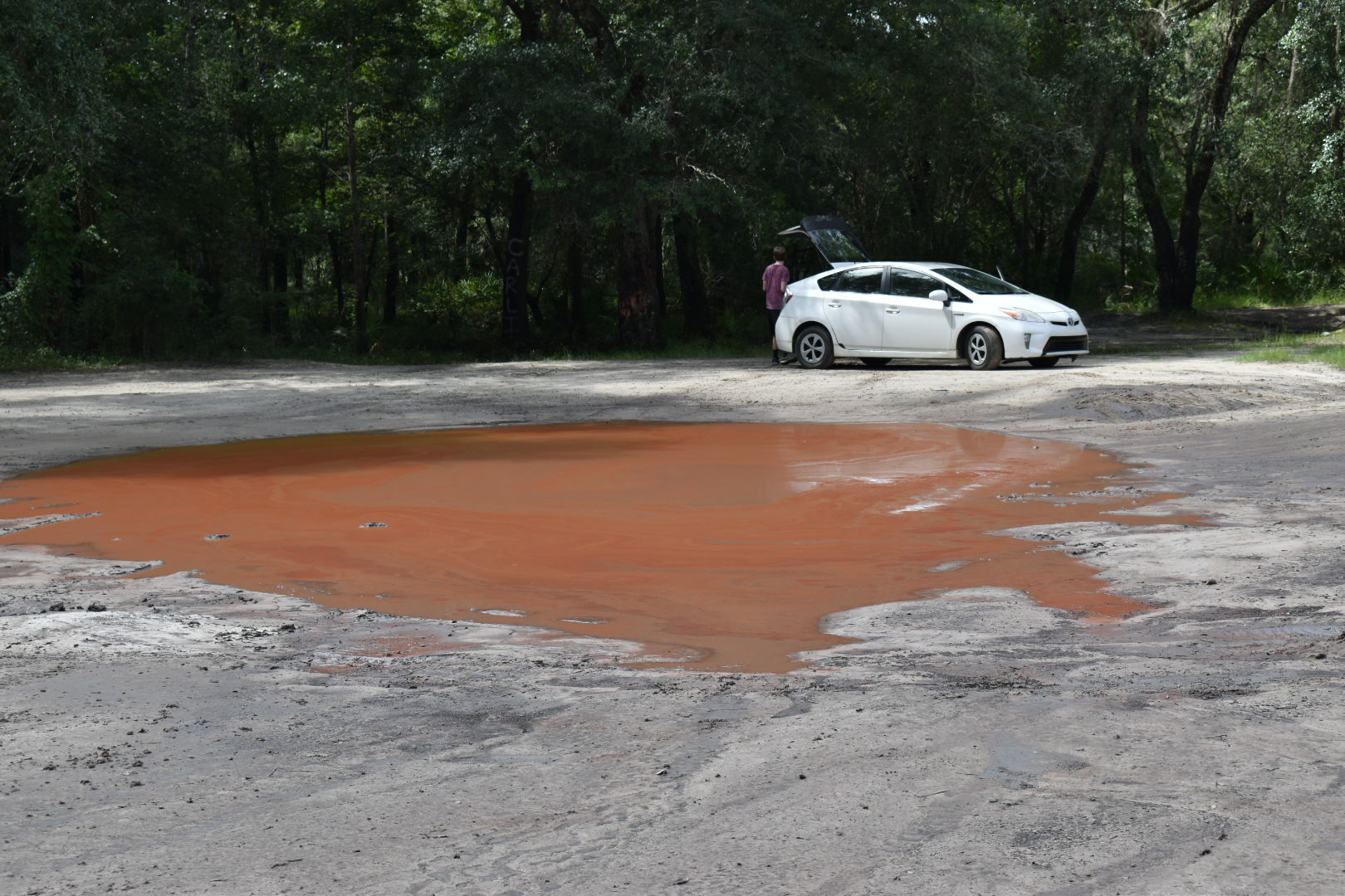 Knights Ferry Boat Ramp, Withlacoochee River 2022-07-21