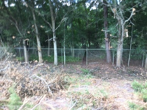 [Hole in fence, large Quitman sewage settling pond, NE side, 2022:07:26 15:34:56, 30.7923556, -83.5403222]