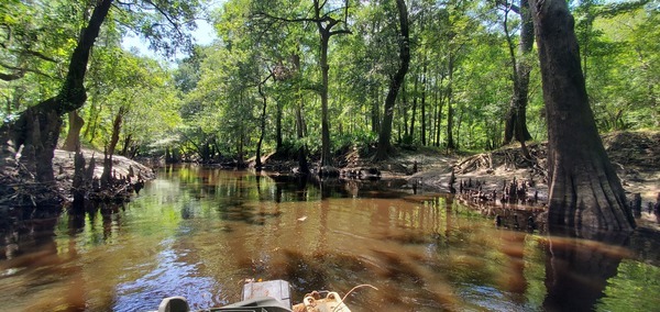 River and Valdosta Mulch Runoff, 14:42:52, 30.8543911, -83.3381558