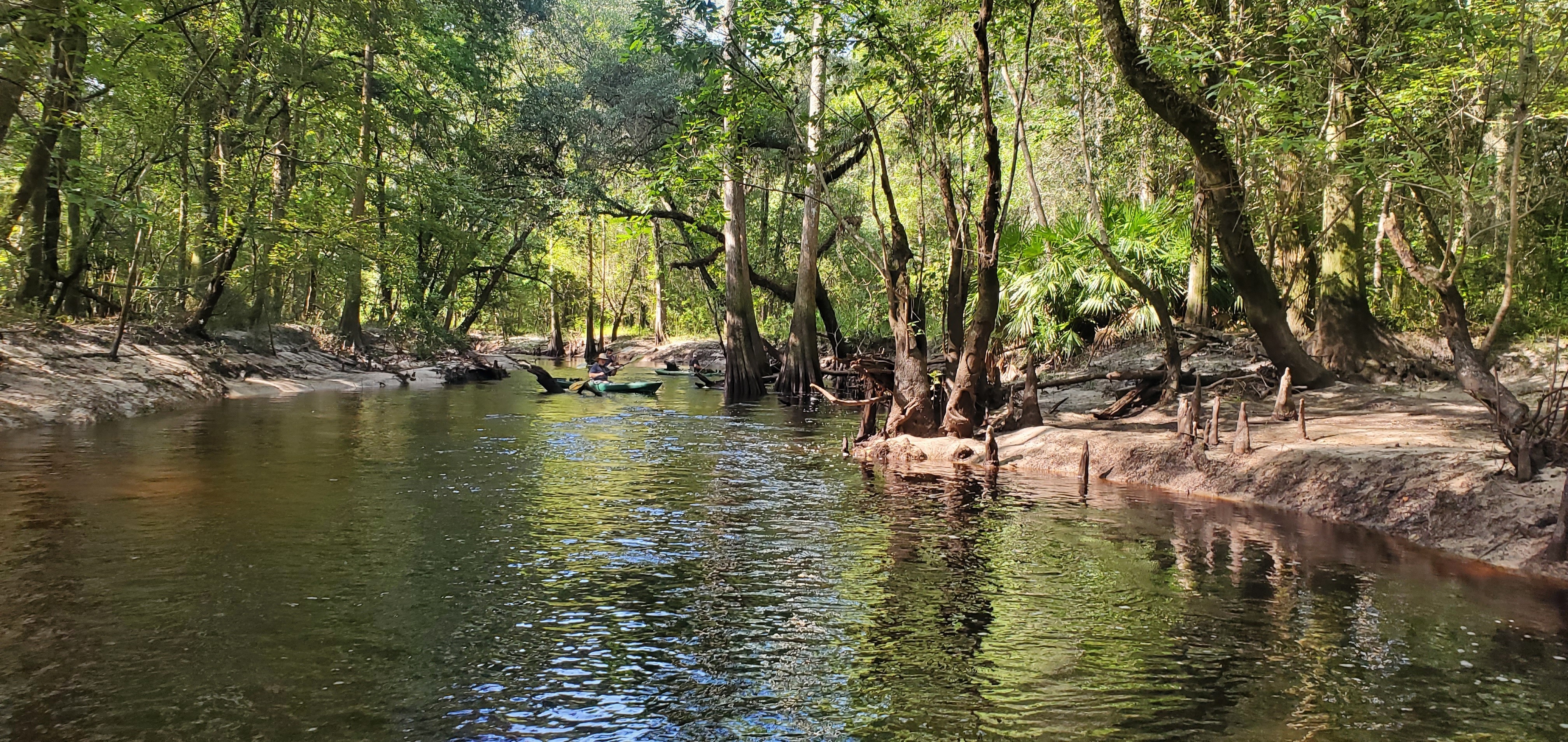 Upstream, 10:06:00, 30.863833, -83.322486