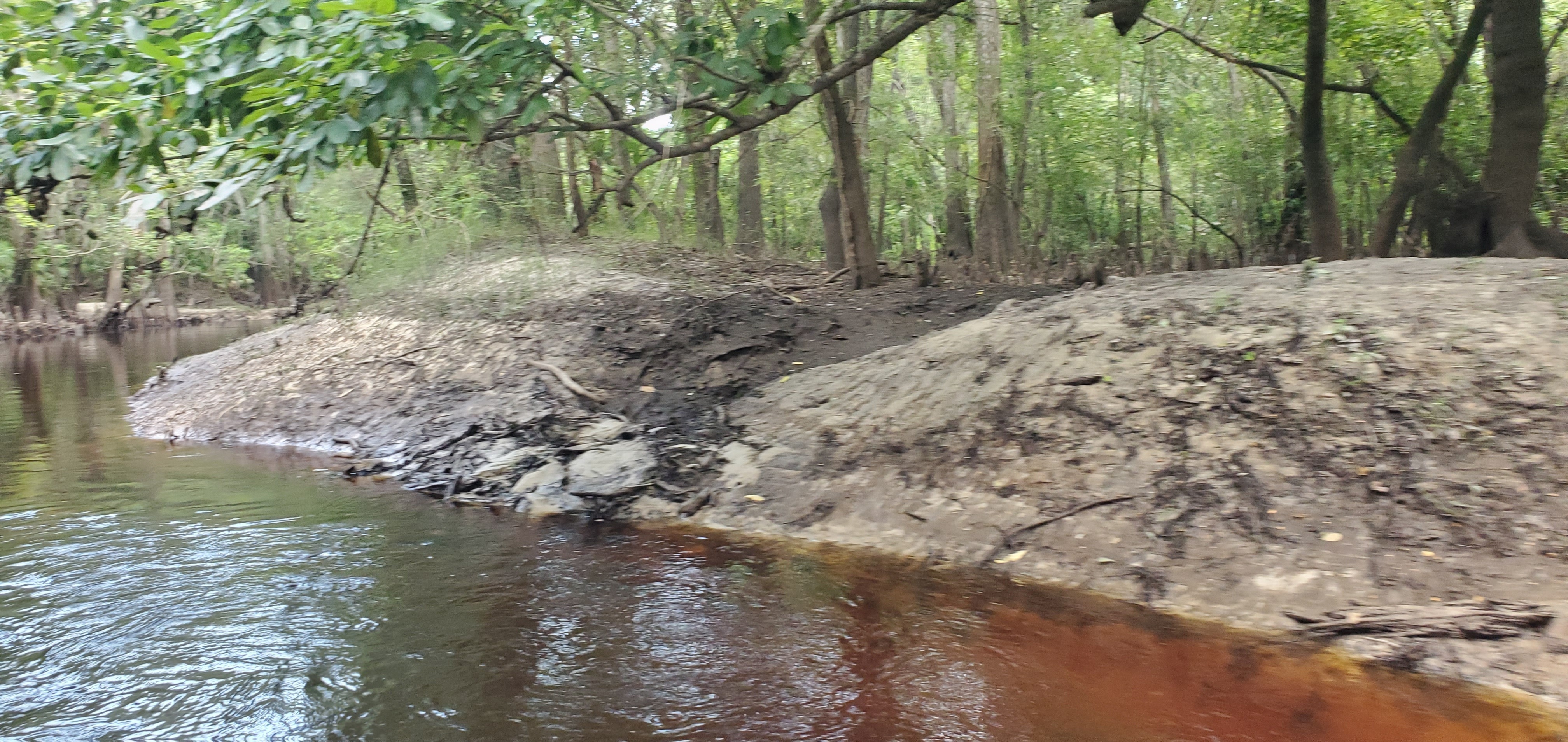 Crooked Creek Partners Runoff, 13:55:26, 30.8547668, -83.3304350