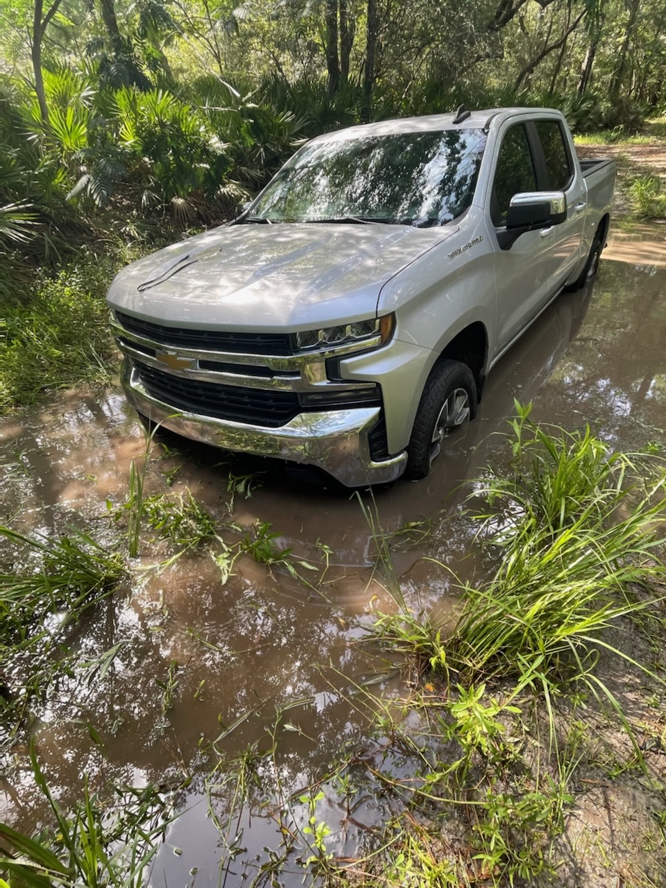 Bobby's truck stuck, 30.847844, -83.347774