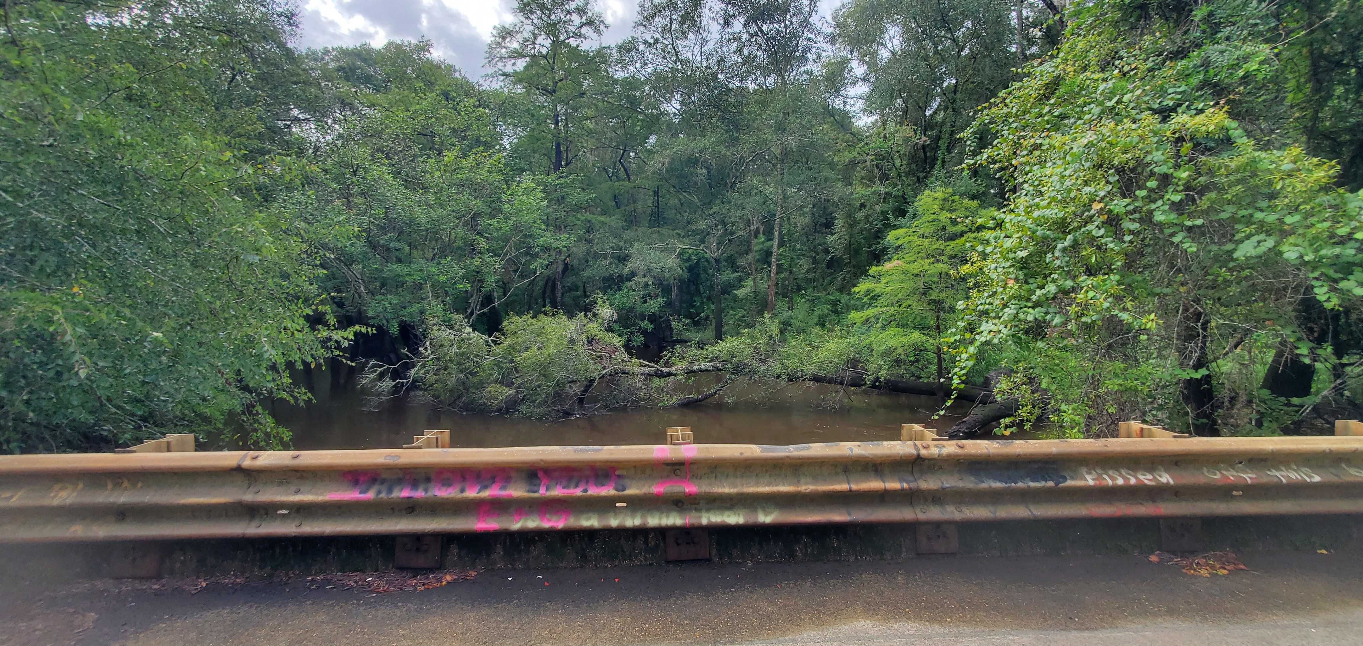 Upstream from Tyler Bridge, 2022:08:11 09:02:02, 30.9813575, -83.2676554