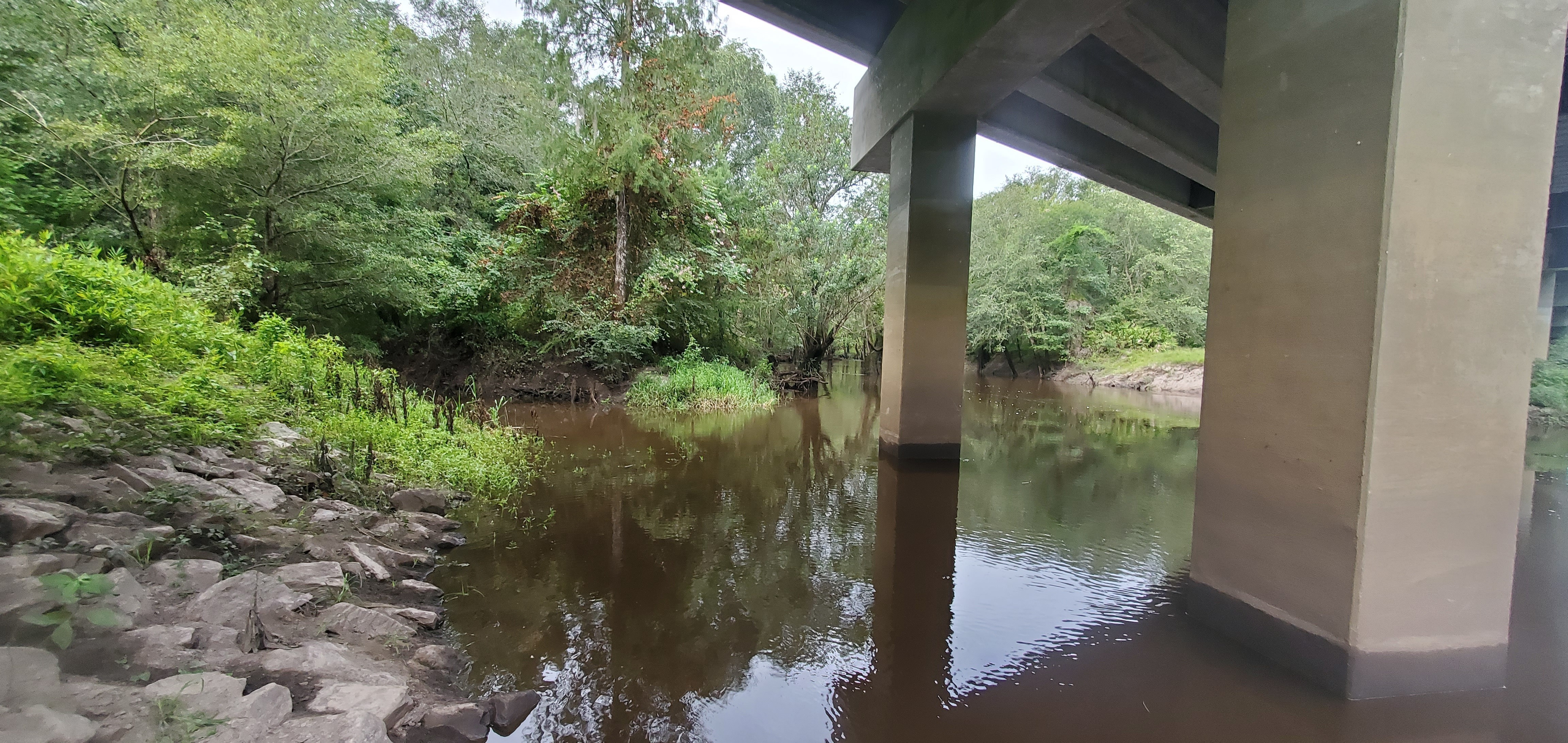 Downstream under Skipper Bridge, 2022:08:11 09:23:09, 30.9489321, -83.2714702